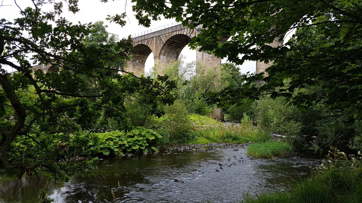 cornish_jack's tweet photo. Aniseed of Sweet Cicely crushed under foot, the Union Canal and past the French château/Scottish baronial pile of Callendar House - all on the path across the country three years ago
#LEJOG2017 #LandsEndToJohnOGroats
DAY 78: Linlithgow to Falkirk (10.31m)
https://t.co/cSxGKldgj9 https://t.co/04EGPVqqyF