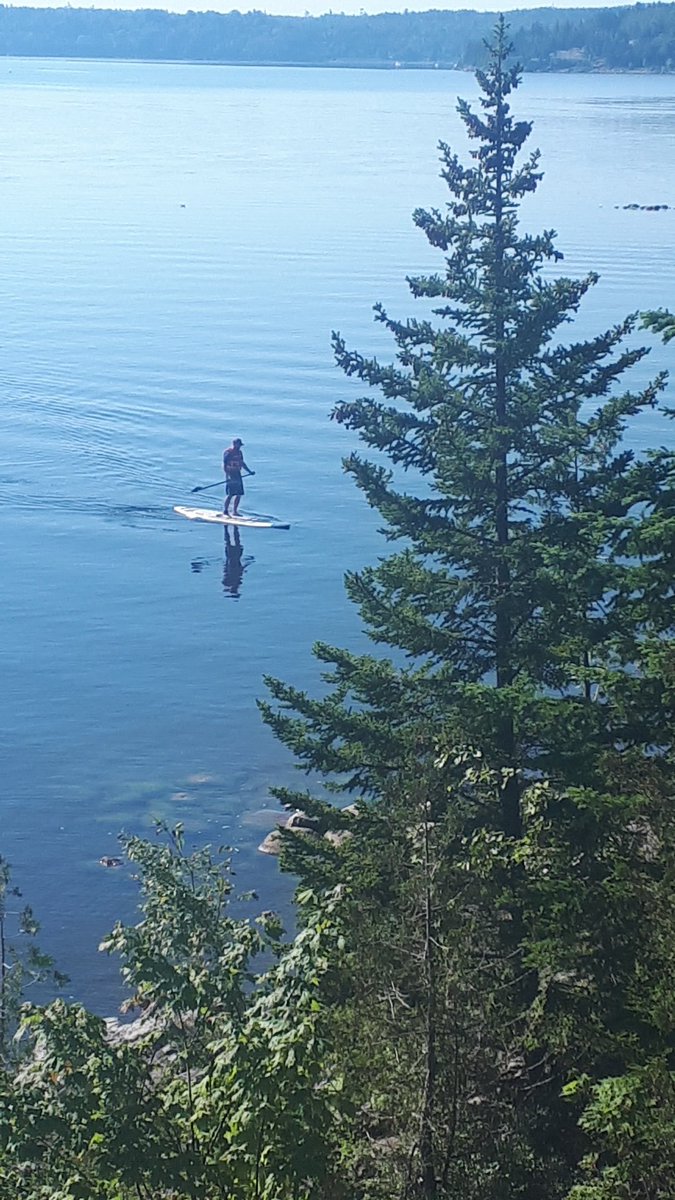 Summer 2020 has been good.