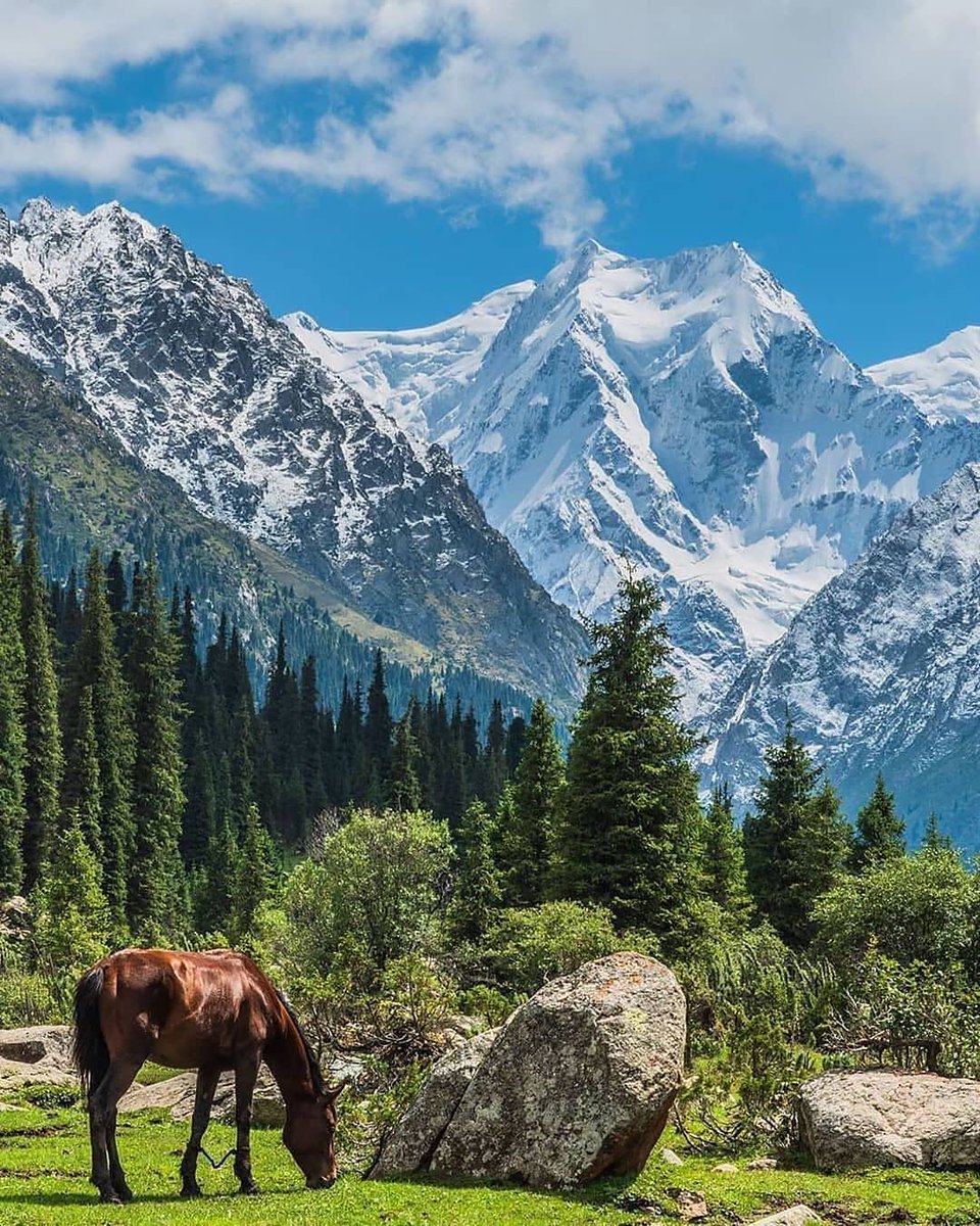 ICE: In Kyrgyzstan, the rocks speak and the water sings. The soft snow sets upon a land that once hosted the silk road; one that has thousands of years of stories to tell.