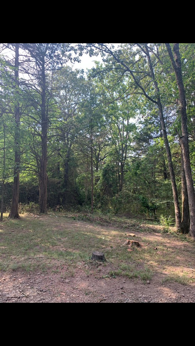 The first step completed on our new homestead. We had 5 Bald Cypress and a small oak cut down so I can put my 20x30 metal building here...
