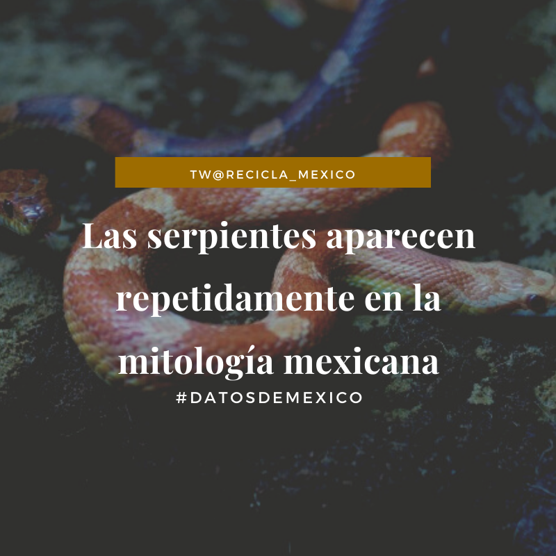 recicla_mexico's tweet photo. #ReciclaMexico #DatoCurioso ¿Diríamos que su participación se debe a la gran variedad de especies que habitan en nuestro país?
.
.
#ServicioEjecutivo #ConsumeLocal #MarcaMexicana #MexicoBello #ServicioProfesional #DatosDeMexico #Mexico #YoAmoAMexico #MexicanPhoto #Follow https://t.co/H88f3dvf8T