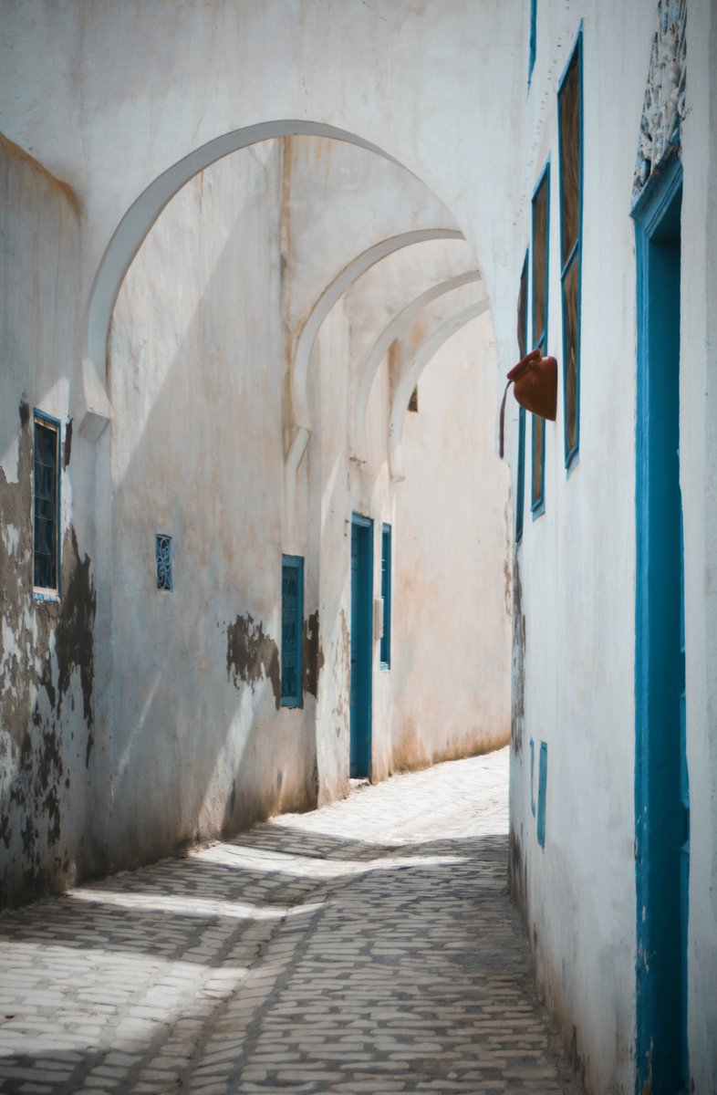 WHITE: Venturing up to the Tunisian coast, we can’t help but come to love the happy enclave on the Mediterranean coast in which we’ve found ourselves.