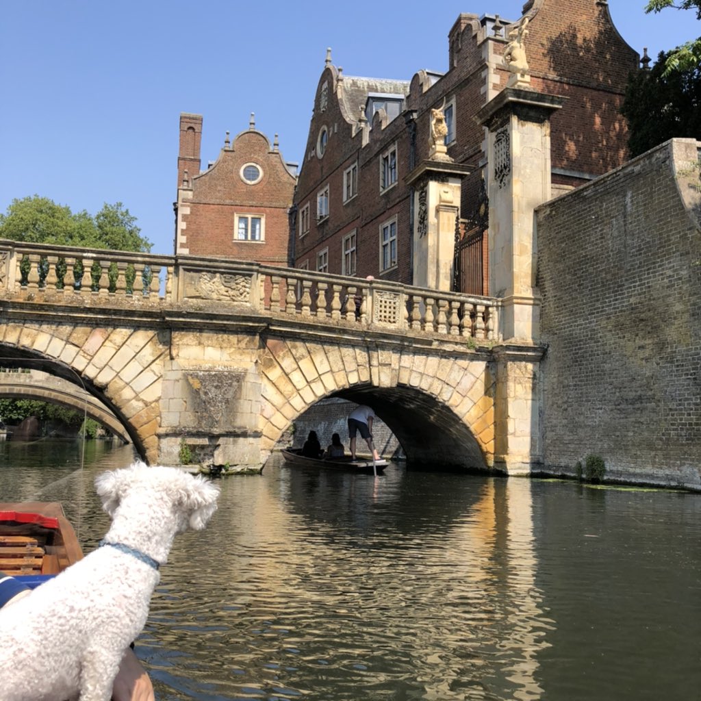 Bill Dale tweet media