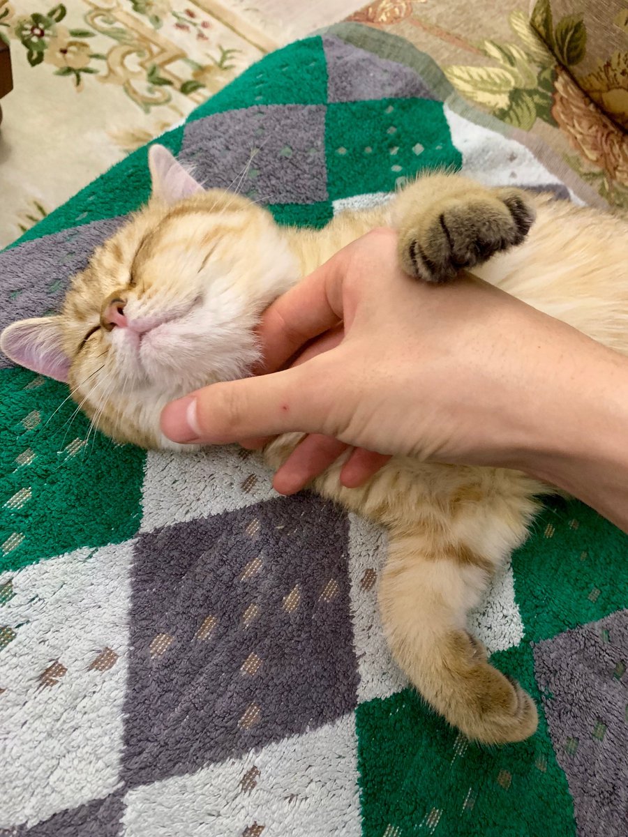 daily danta (@daily_danta) on Twitter photo 