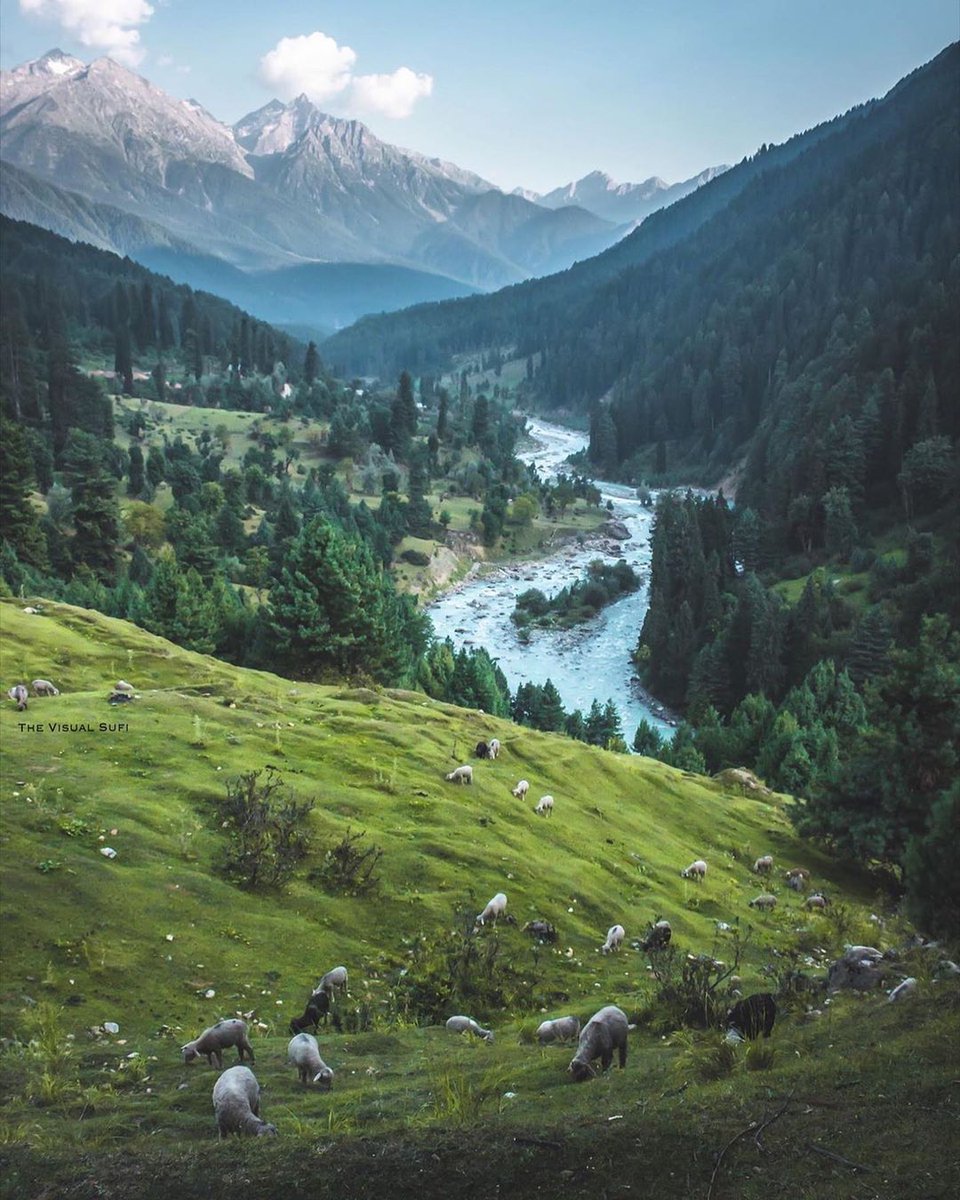 FOREST GREEN: Touching the foothills of the Himalayas, Kashmir sits firm. Its neighbours are tall mountains and vast clouds: it will never be subjugated by any tyrant.