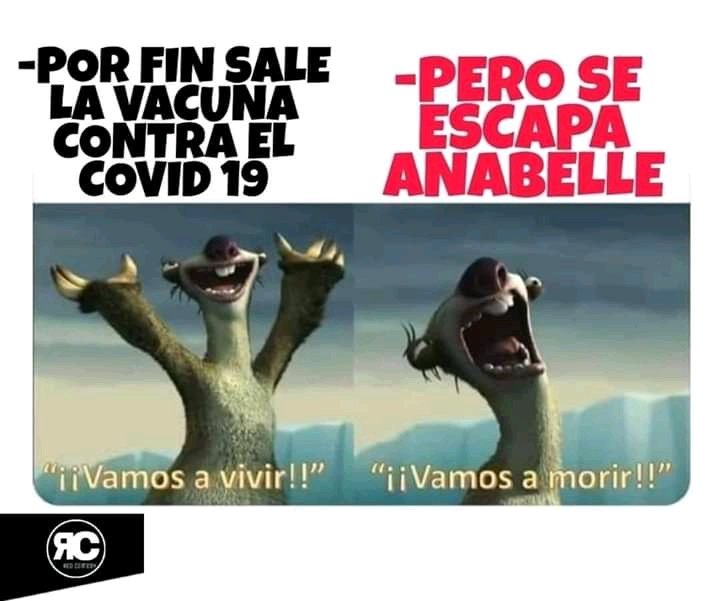 Soyferb1's tweet photo. Mrk yo literalmente JAJAJJA
#Anabellescaped pt vida 😂 #AnabelleQuedateEnCasa https://t.co/RCcHqEZkg7