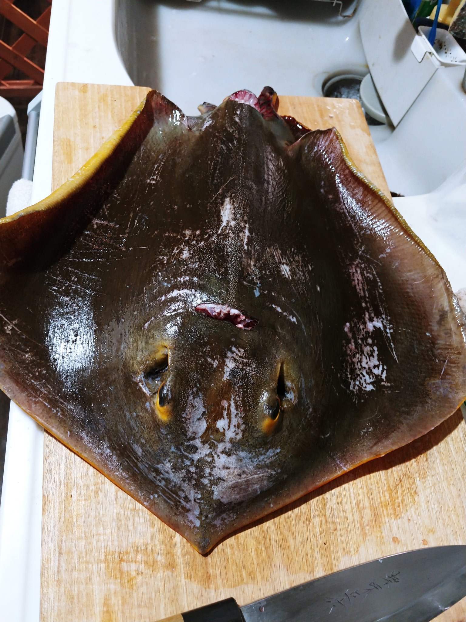 山田 恵庸 エイ 圧力鍋で煮付けたら予想外に軟骨がガスガスになって美味しくない 失敗した エイひれに期待だな 今のところ下処理のめんどくささを上回る味になってないんですよね Twitter