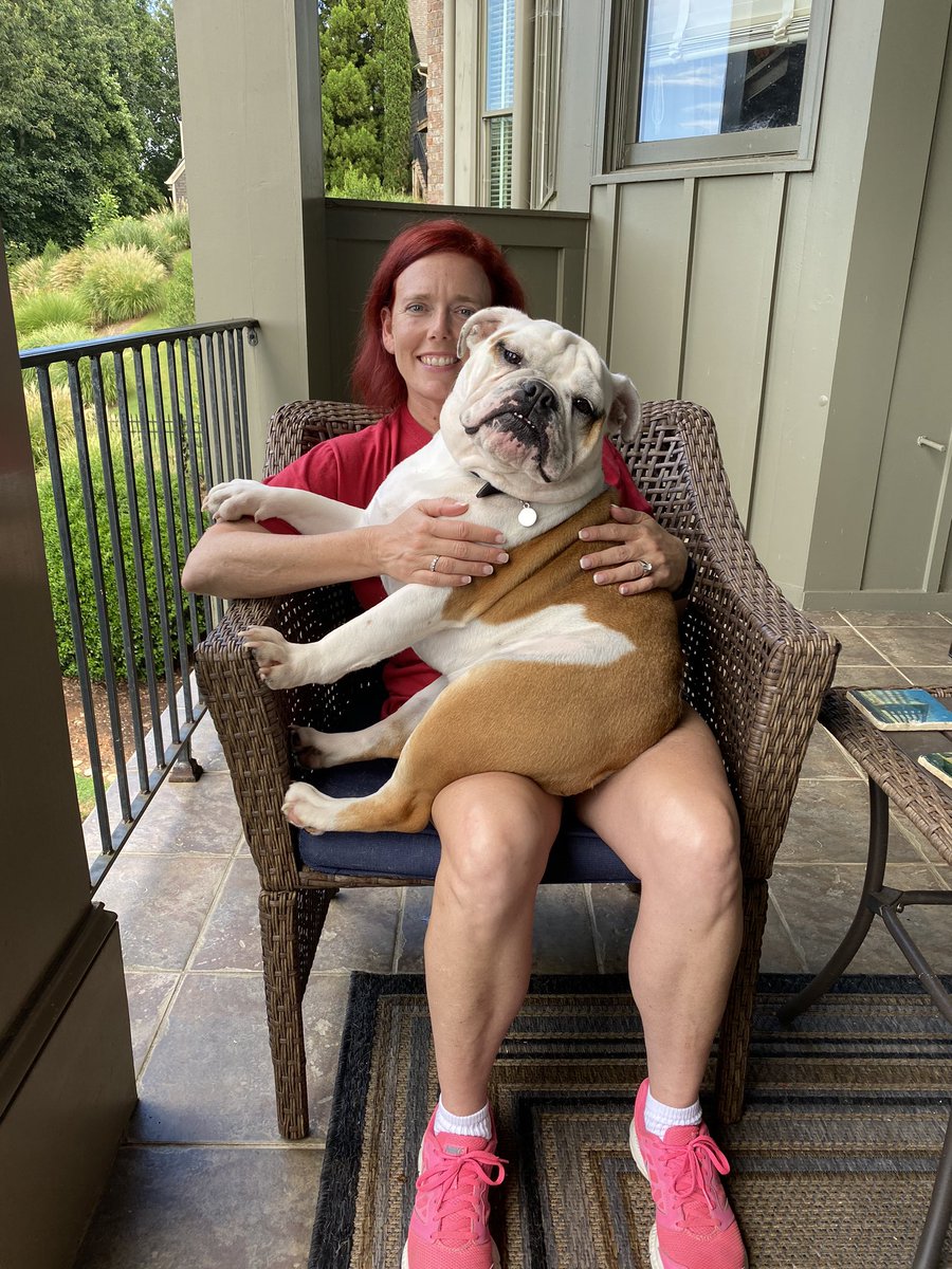 HeidiChumley's tweet photo. @brasil_FamMedMD This puppy still sitting on my lap. When are they too old for that? https://t.co/Xm3wAsMAv2