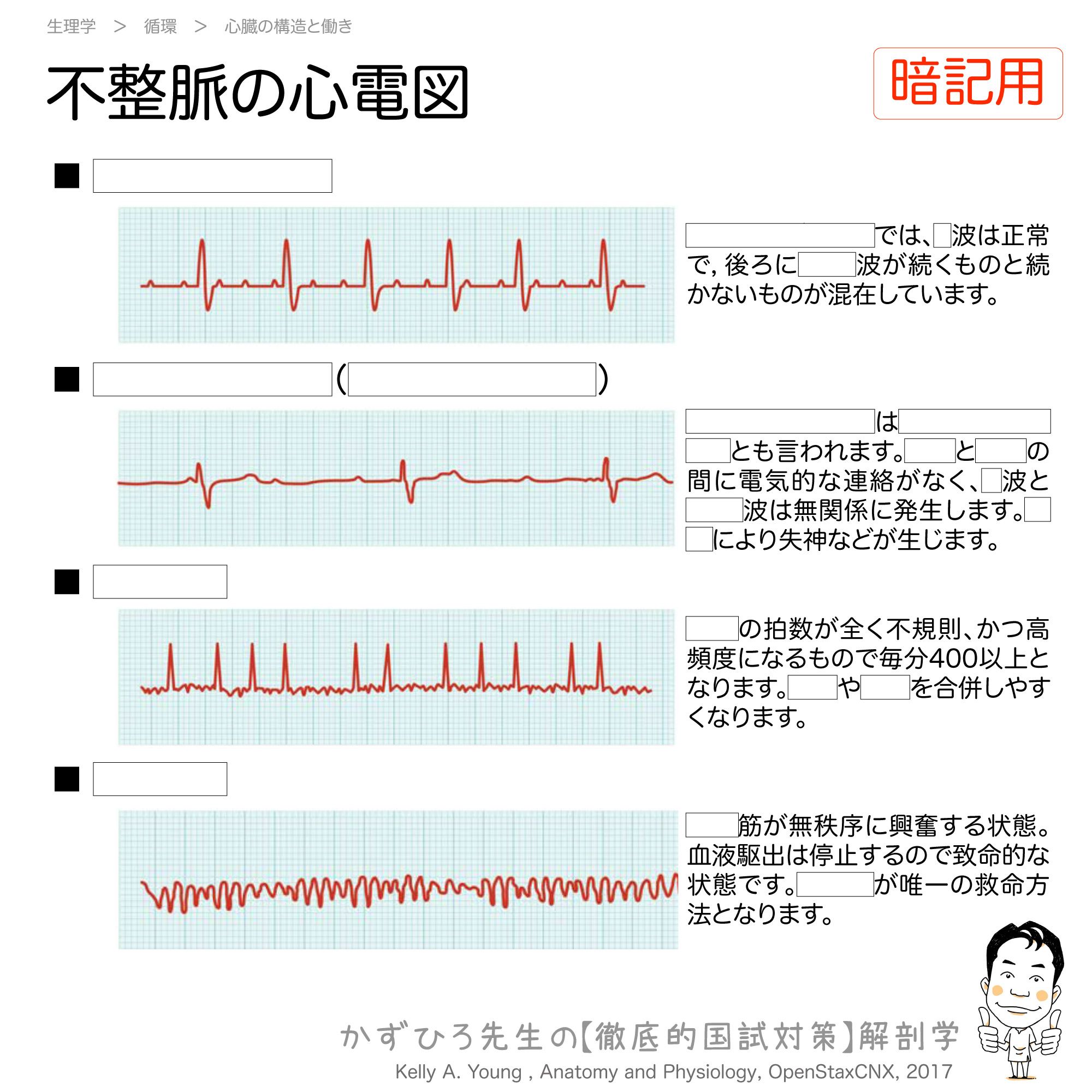 黒澤一弘（かずひろ）解剖学IT教育・指圧師・ラダック on X