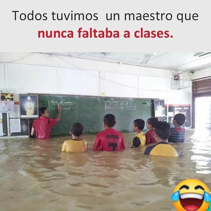 NoSabias_Que's tweet photo. ¡Demasiada seriedad es perjudicial para la salud!😅

#meme #memes #Divertido #memediario #Lluvia #follow4follow #like #follow #humor #clase #followback #clases #nosabiasque #profesor #comedia #diluvio #Sabiasque #inundacion #informar #responsable #maestro #funnymeme #estudiantes https://t.co/YqhhShTTt2