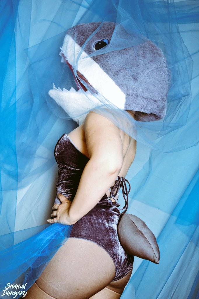 Chocobobutt's tweet photo. @SharkWeek still going strong here! Photos by @SamuelImagery  @Discovery @BobTheShark @CafeColdBrew  #sharkweek2020 #sharkweek #sharkweeksweepstakes https://t.co/a2d8UXlGhB
