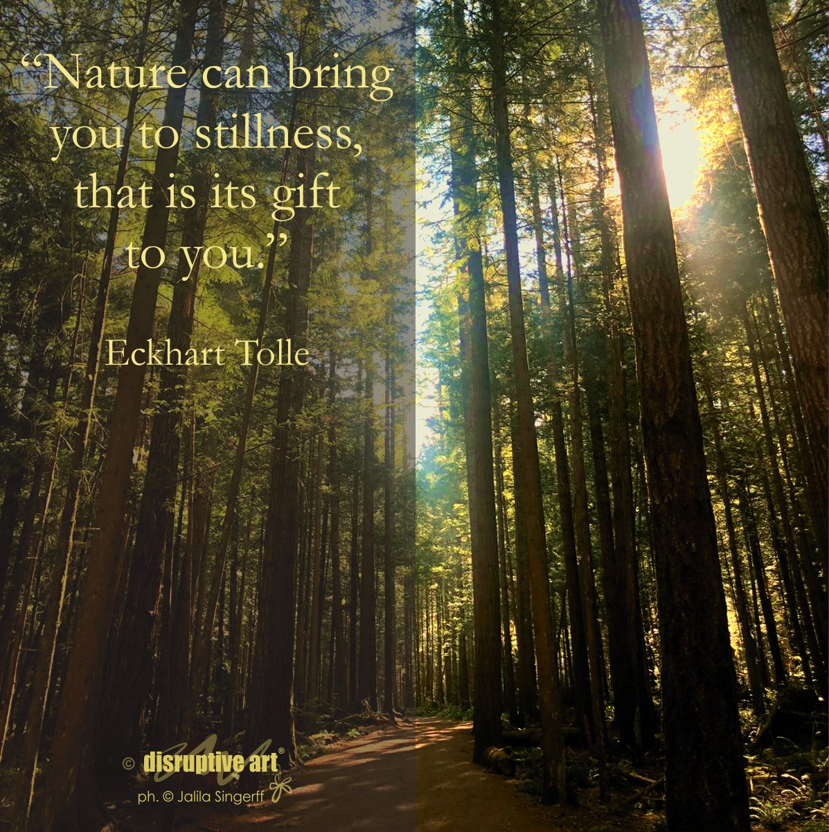 ArtDisruptive's tweet photo. “Nature can bring you to stillness, that is its gift to you.” Eckhart Tolle

“La naturaleza puede traerte quietud, ese es su regalo para ti” - Eckhart Tolle
.
#disruptiveart #stillness #wellness #meditate #breathe  #mindful #scienceofthemind @khendi 
Ph. ©️ Jalila Singerff 2020 https://t.co/hHb0SCRUA4