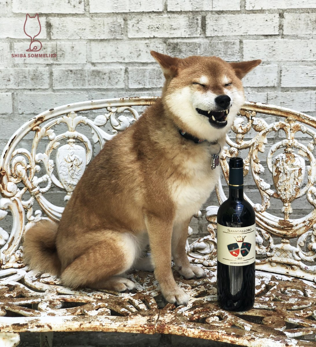 ShibaSommelier's tweet photo. 2015 Jacopo Biondi-Santi Castello di Montepo “Sassoalloro” Toscana IGT: #4bones!
I'm loving this wine from the Biondi-Santi family!
Full Review: https://t.co/sSin2v8vDc https://t.co/RIfYbwe7sW