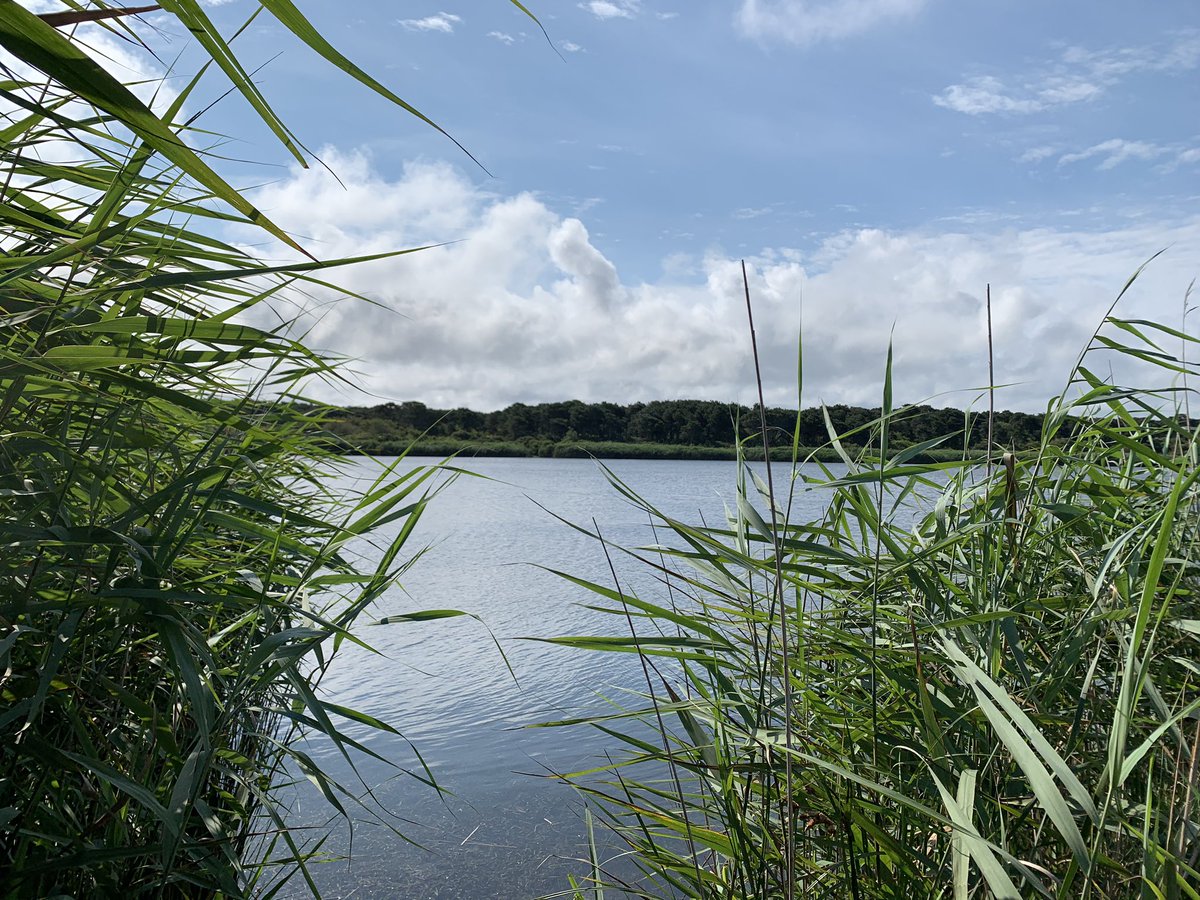 Pirate jokesPersonal favorite:“What does a pirate say on his 80th birthday?”“Aye, matey”