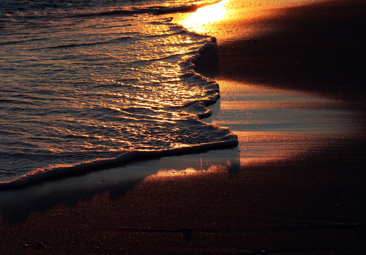 MeyerVacations's tweet photo. Come #relax on our #BeautifulBeaches. #GulfShores #OrangeBeach #PerdidoKey #FortMorgan

https://t.co/cesbbbzZis https://t.co/bs96HQPE41