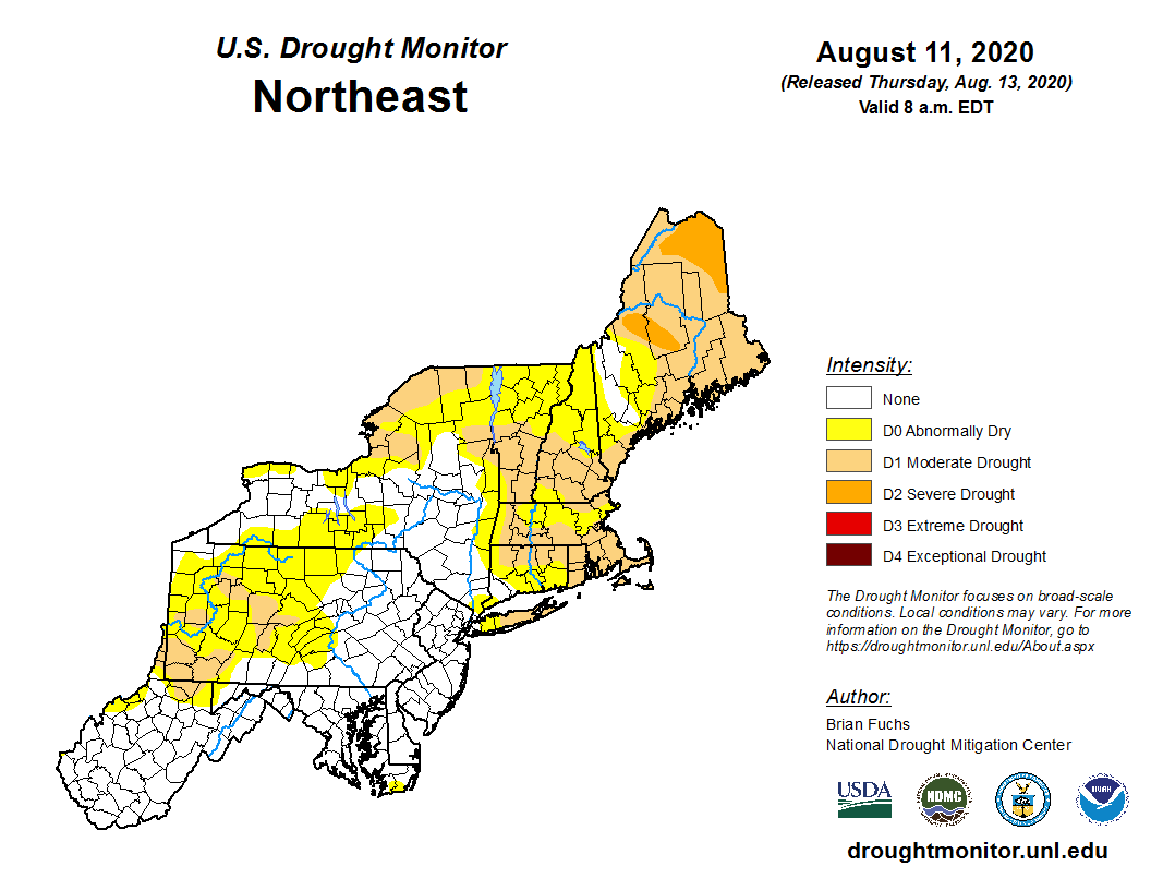 7/Additionally, much of Long Island is currently in a moderate drought with Islip, NY (KISP) a little more than 6" of precipitation below average for the calendar year so far. This may at least partially enhance these withering effects.