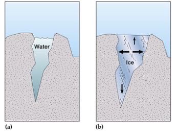 warmed its interior enough to form a subsurface ocean! How can we infer this you might ask. Well, we know from our own planet that when water freezes it expands, which is how cracks can get larger. Once Pluto’s interior cooled after its formation, its surface was able... (19)