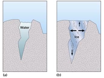 warmed its interior enough to form a subsurface ocean! How can we infer this you might ask. Well, we know from our own planet that when water freezes it expands, which is how cracks can get larger. Once Pluto’s interior cooled after its formation, its surface was able... (19)