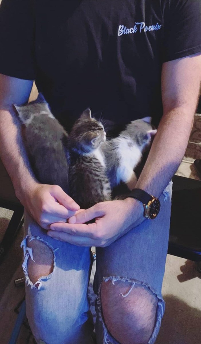 datcritcray's tweet image. My babies