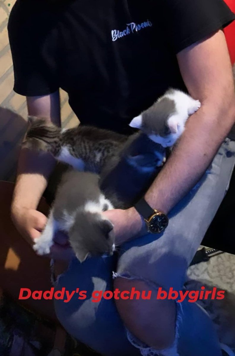 datcritcray's tweet image. My babies