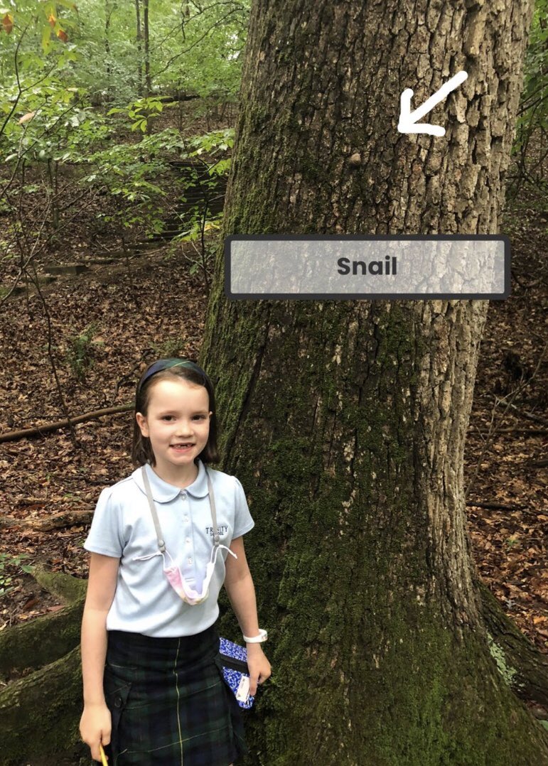 Jennie Rountree tweet media