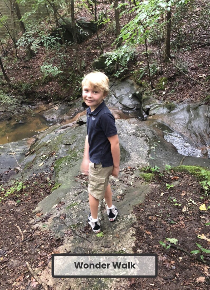 Jennie Rountree tweet media