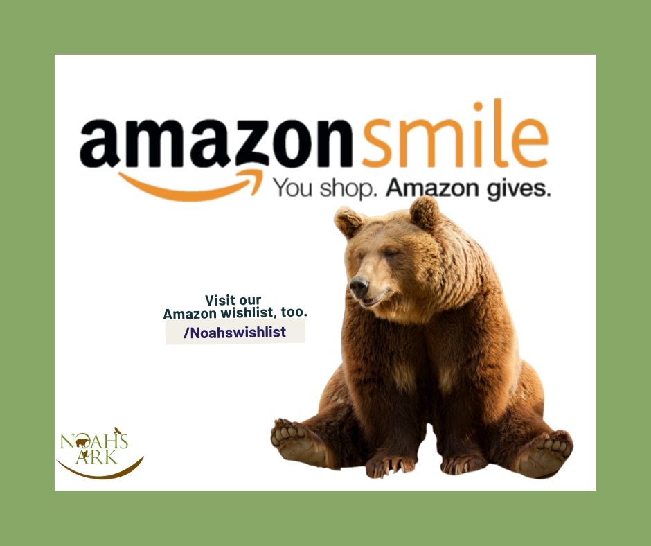 NoahsArkClub's tweet photo. Put a smile on our animals' faces by using #AmazonSmile! When you shop AmazonSmile and choose #NoahsArkAnimalSanctuary as your charity 0.5% of your purchase will go to helping our rescued animals! Visit the link below for details! https://t.co/WJTxRmxa82   

#BLT #ShareTheDream https://t.co/CE9okqIDLw