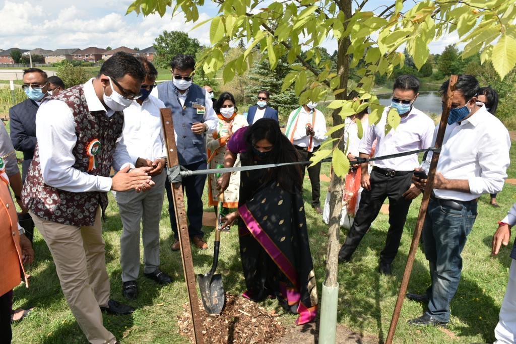 IndiainToronto's tweet photo. CG @_apoorvasri was honoured to be part of a tree planting ceremony organised by @GPACCanada along with MP @sangharamesh, @DeepakAnandMPP and MPP @sandhuamarjot1. 74 trees were planted to commemorate the 74th Independence Day. @HCI_Ottawa @cgivancouver @Ajaybis @IndianDiplomacy https://t.co/mD7EawbB0l