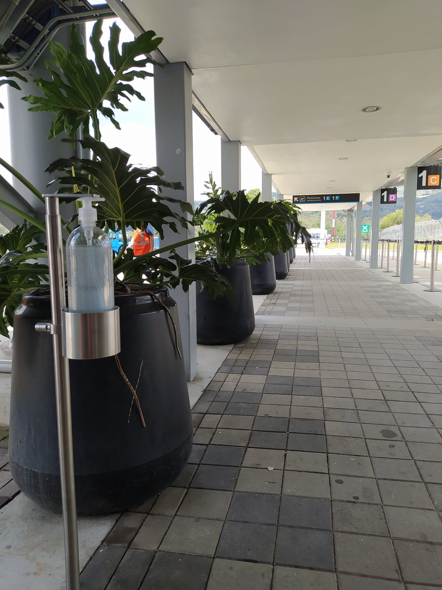 Aeropuerto internacional José María Córdova tweet media
