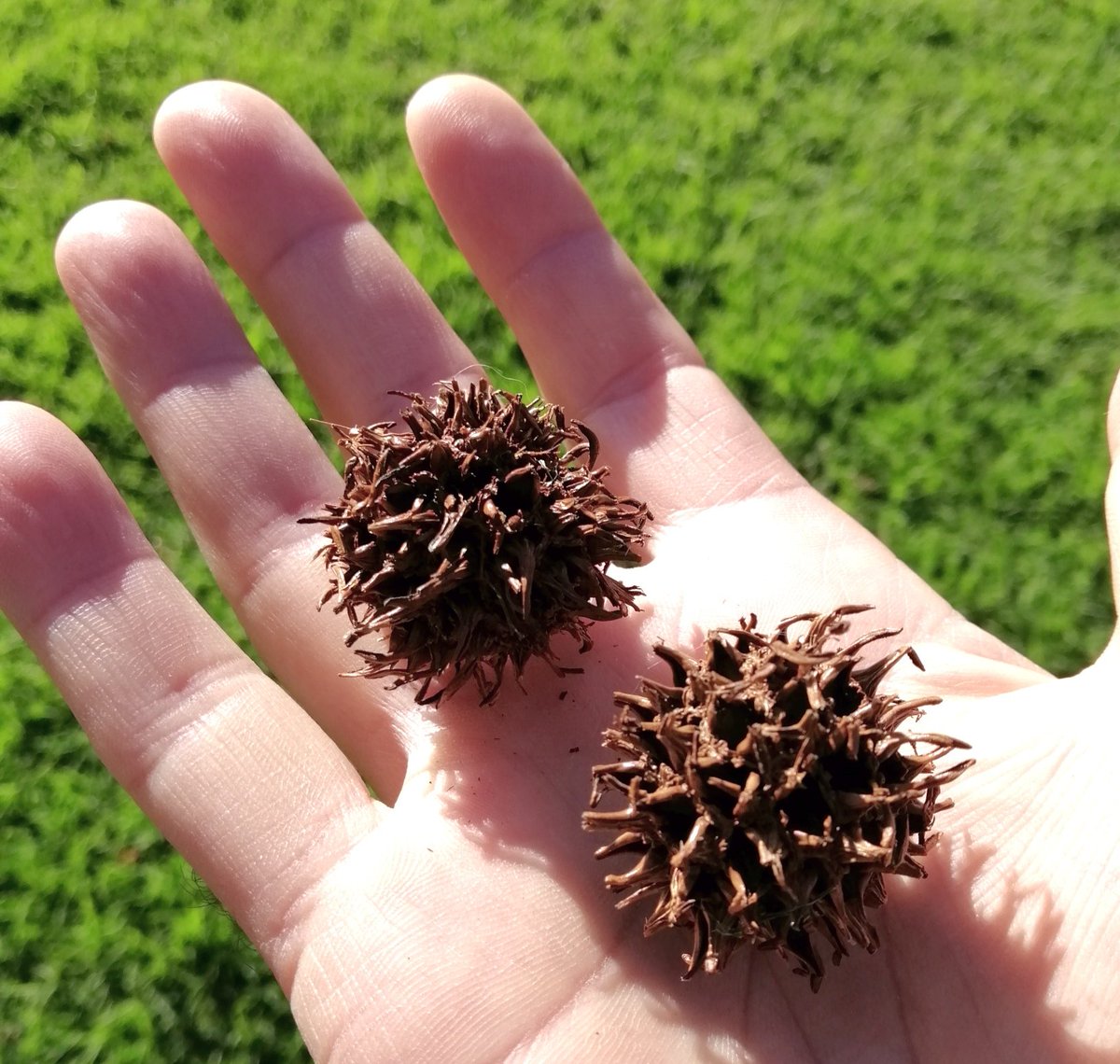 We are all doing well, Level 3 is working!!!  I found some dead COVID's