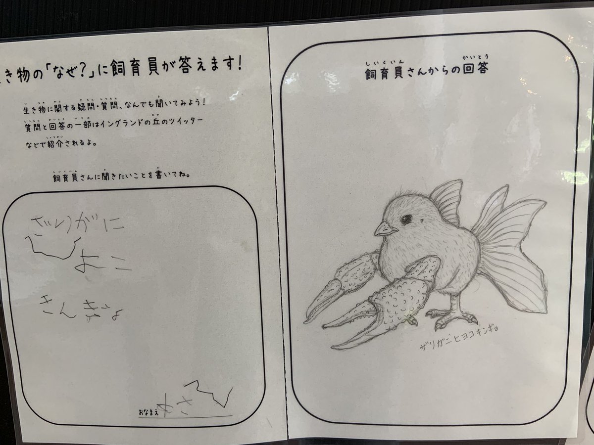 質問用紙に書かれた子どもの要望に全力で答えていく画力が高すぎる飼育員さんが話題に 天才すぎる Togetter