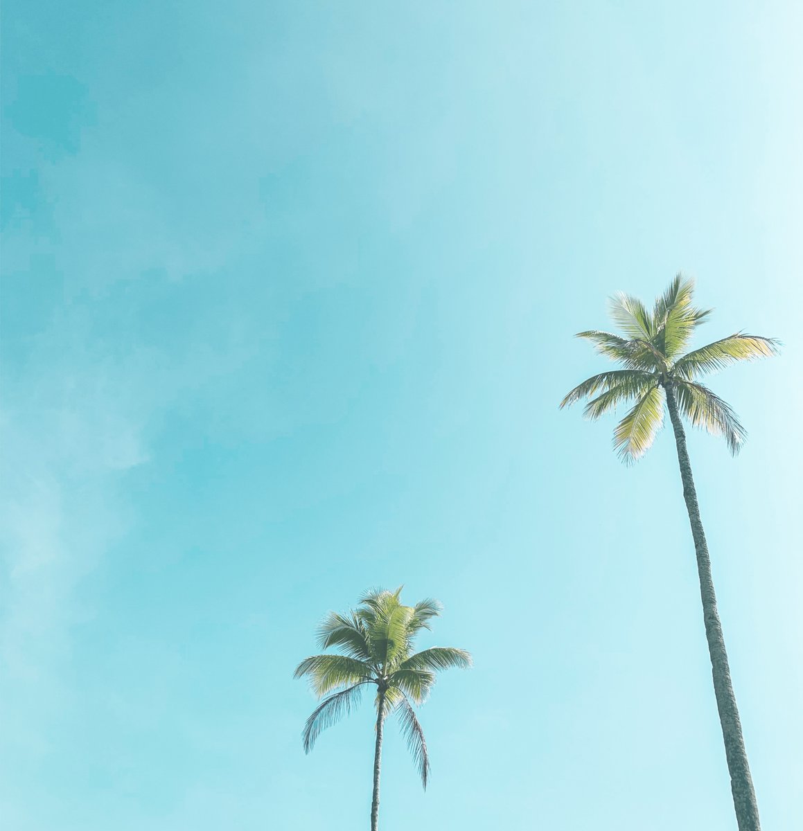 ArizonaGrand's tweet photo. Find your zen. π΄β
β
#zenview #relaxing_time #relaxingmoments https://t.co/yU8lr4VsG1