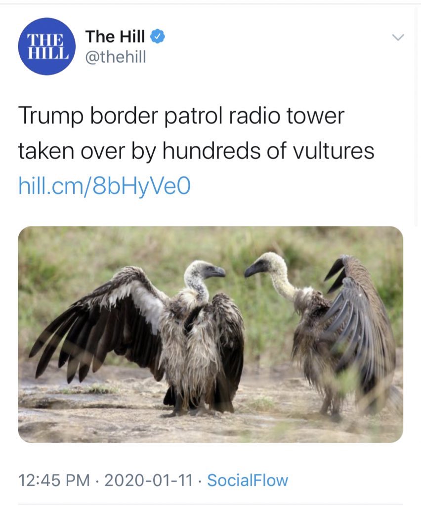 In some good news, birds of prey have joined the revolution