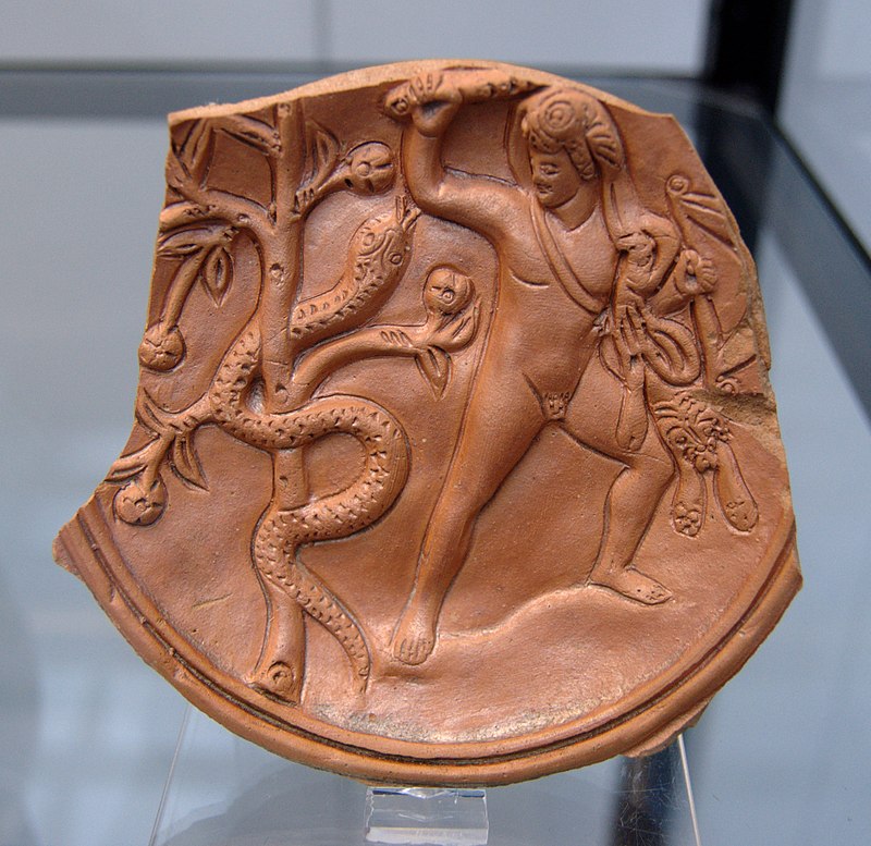 MitosGriegos4's tweet photo. #Ladón : En la mitología griega, Ladón era un dragón de cien cabezas (cada una de las cuales hablaba una lengua diferente), junto con las ninfas Hespérides, era el encargado de custodiar el jardín de las Hespérides. Era hijo de Forcis y Ceto. https://t.co/Ol3yIT1KGp