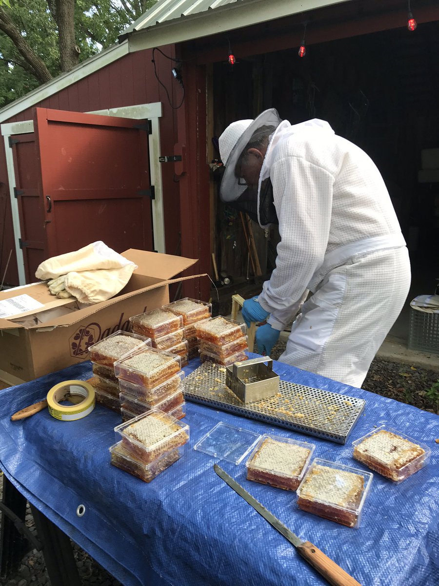 Today was comb honey harvest day.  Rather than separating honey from the wax comb, honeycomb is cut with a knife or square cutter into blocks placed into containers.  Because honey is eaten, wax and all, directly or spread on toast, warm bread, etc., it’s popularity is limited.