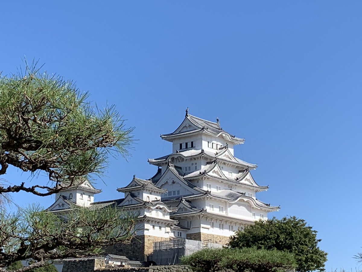 concertato1's tweet photo. It's 9AM here.
Good Morning☀️
🍀The measure of success is
happiness and peace of mind.🍀
Have a beautiful day!
#GoodMorning #photography
#photo #Japanesecastle
#Himejicastle #worldhelitage https://t.co/BiF8u0TjrP