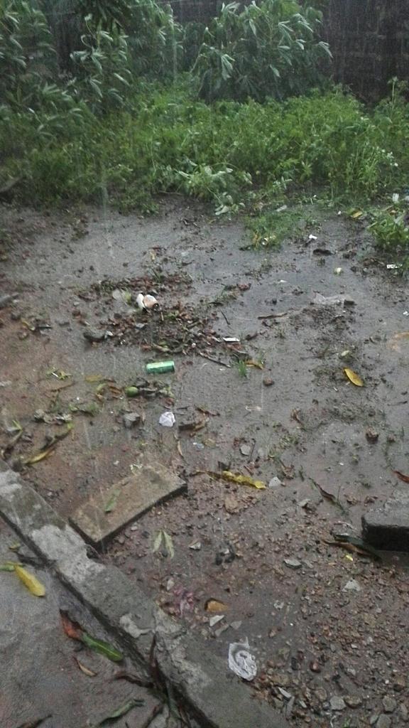 modoub20's tweet image. Raining in the Gambia..