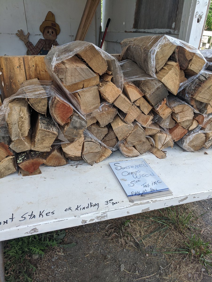 Found this roadside stand with wood on it. 10/10, quality campfire wood, notice the friendly scarecrow helping you choose the perfect stack (I may have given him my number 😏)