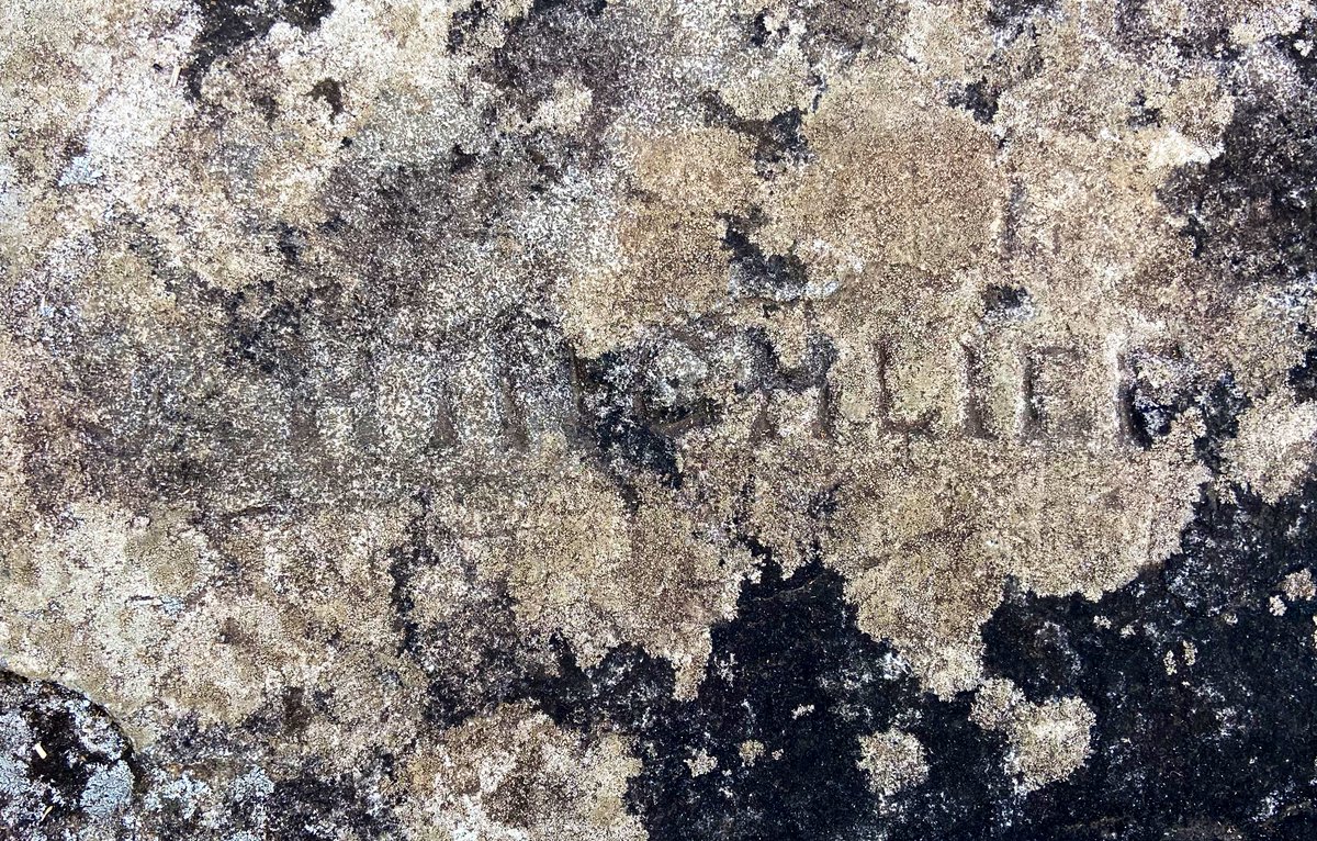 The rock had the name “J. Hinchliff” carved into it and was very easy to be seen with the naked eye even though the picture makes it hard to make out. It was carved in very deep. 2/