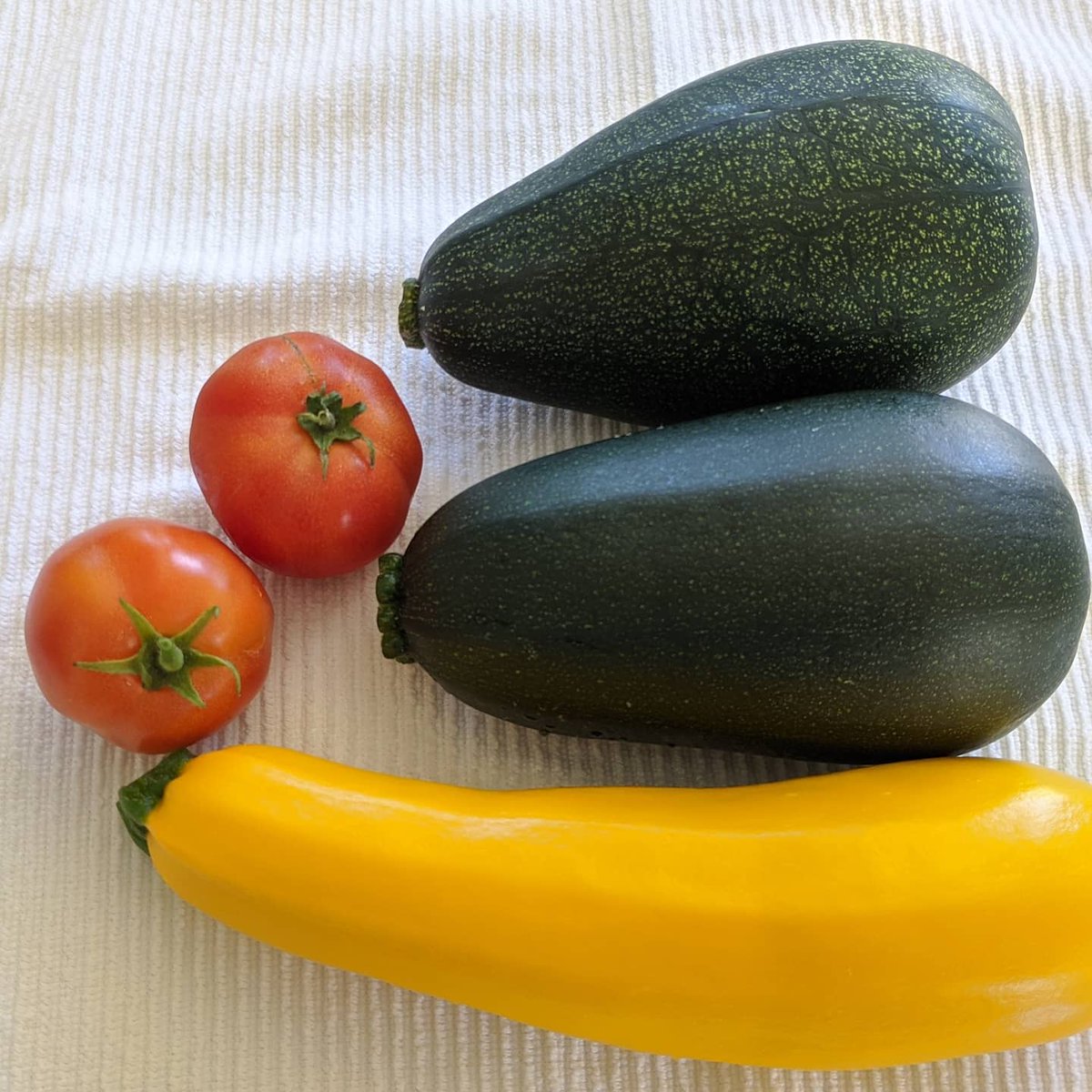 2lbs of zucchini, 3/4 of yellow squash, almost half a pound of patio tomatoes just today. Far more to go!!