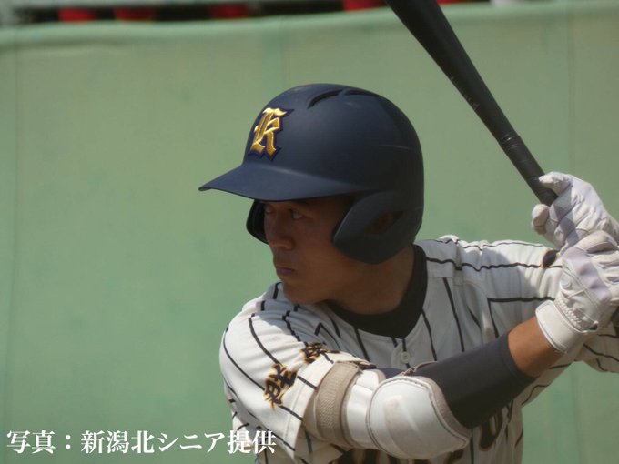 新潟野球ドットコムさん の人気ツイート 3 Whotwi グラフィカルtwitter分析