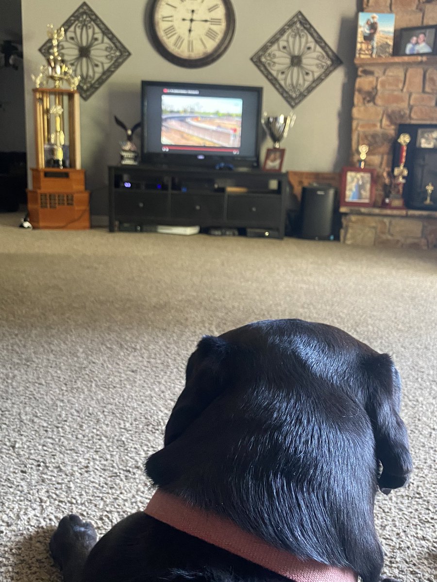Mallorie_1m's tweet photo. @fastfourmedia @Jones_Media_PR Jett and I watching while sitting under the air conditioning.🏁 https://t.co/2bQBPsas5w
