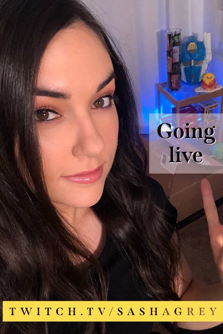Saturday live stream happening now 💥 https://t.co/lgym9RrdiM<a href="/tag/rsf"class="tags"><span>#rsf</span></a><a href="/tag/unclegreyatyoirservice"class="tags"><span>#unclegreyatyoirservice</span></a><a href="/tag/unclegrey"class="tags"><span>#unclegrey</span></a>