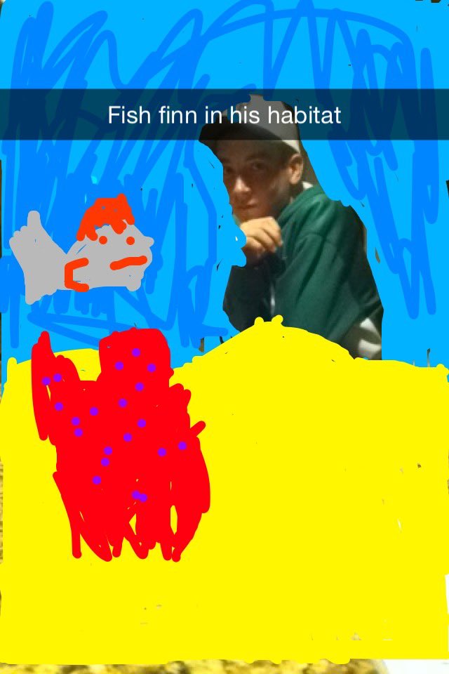 PRHS2017 tweet picture