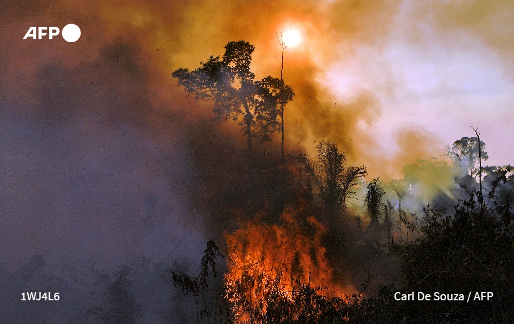 AFPespanol's tweet photo. Fuego en la Amazonía brasileña. Imágenes de un incendio desatado en una reserva de la selva amazónica, este sábado al sur de Novo Progresso, estado de Pará #AFP
📸 Carl De Souza https://t.co/CbX8TEcbLR