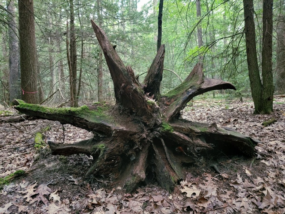 Ed French (@edfrench19) on Twitter photo 