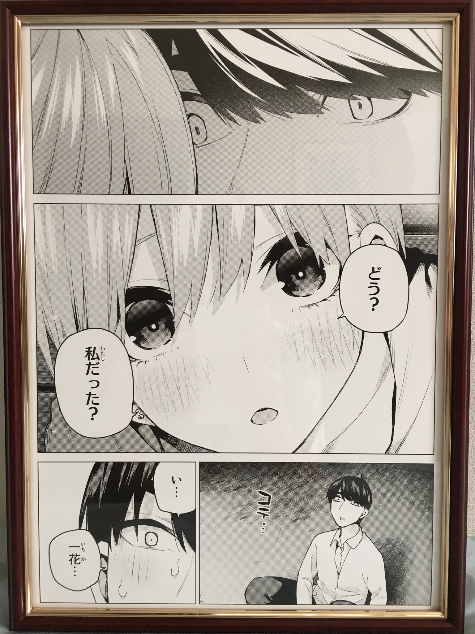 五等分の花嫁 ミストグラフ 新品！ | roomskitchens.co.uk