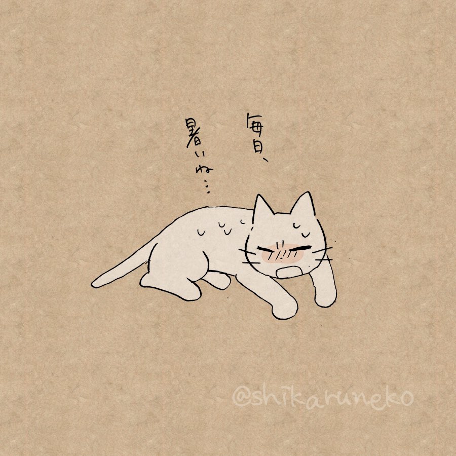 暑くても猫を触りたがる人と、しかるねこと、あまやかすねこ 