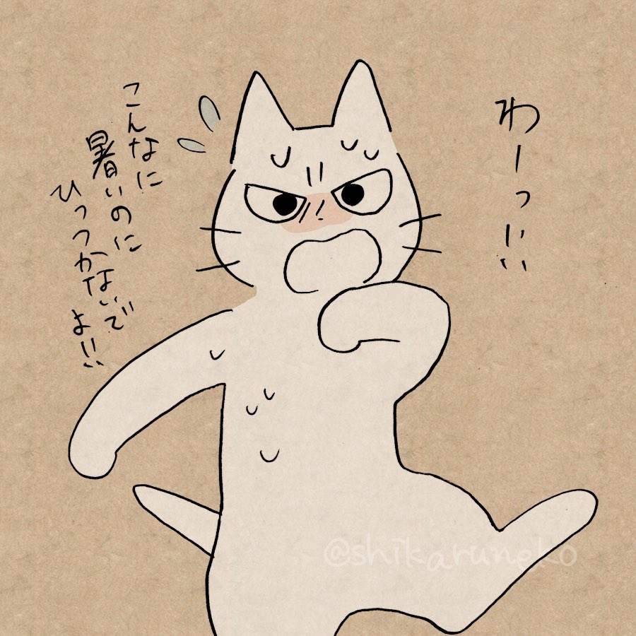 暑くても猫を触りたがる人と、しかるねこと、あまやかすねこ 