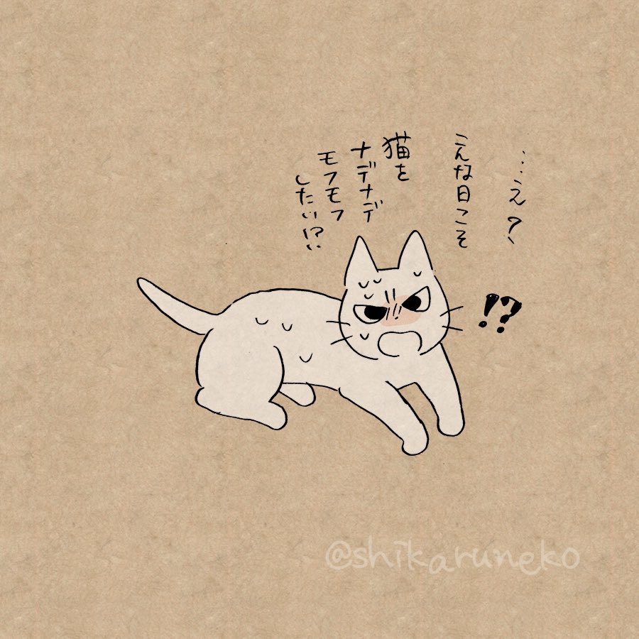 暑くても猫を触りたがる人と、しかるねこと、あまやかすねこ 